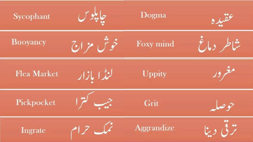 English vocabulary words with meanings in urdu list with pdf