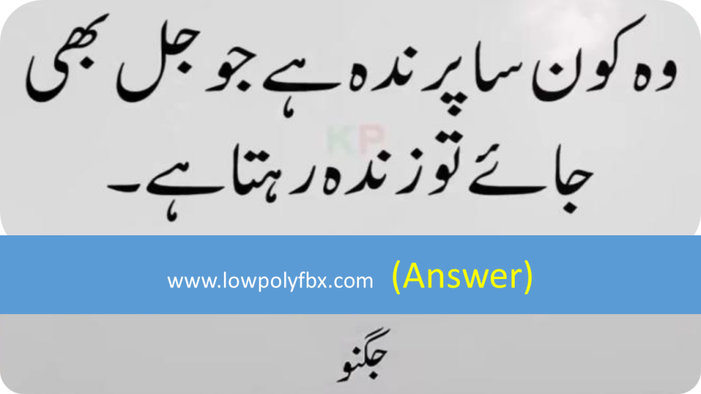 Paheliyan and with Answer | General knowledge questions in urdu with answer  - Welcome To LowPoly Fbx