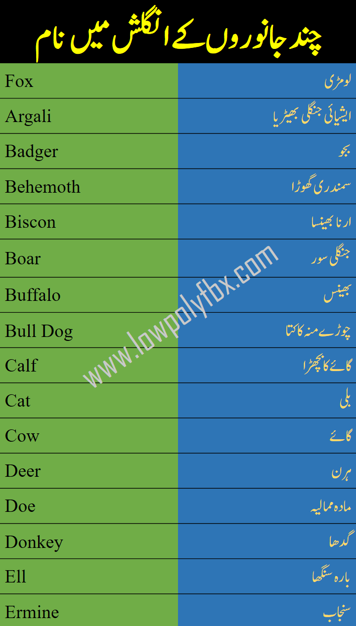 Names of Animals in urdu and English with pictures - Welcome To LowPoly Fbx