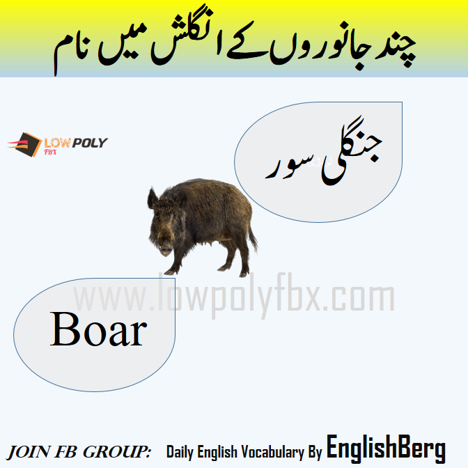 Wild Animals Meaning In Urdu, جنگلی جانوروں