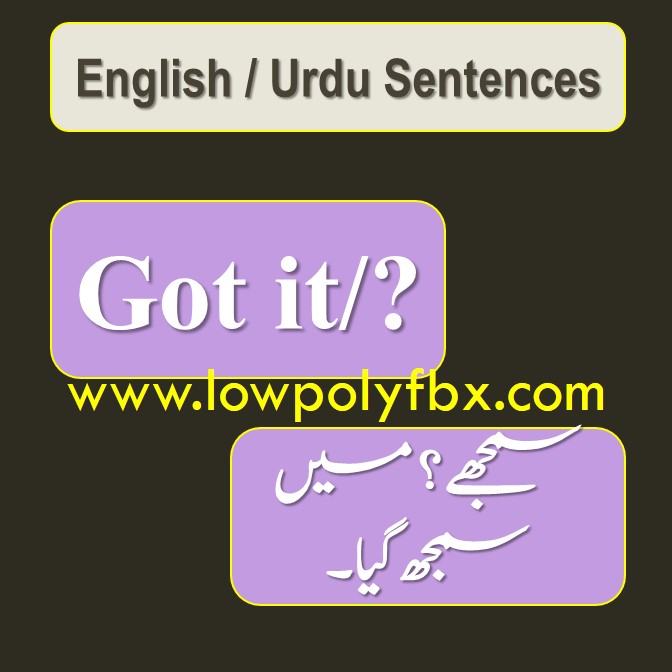 msg aapne kiya hai in english translation urdu