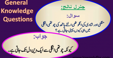General Knowledge Questions