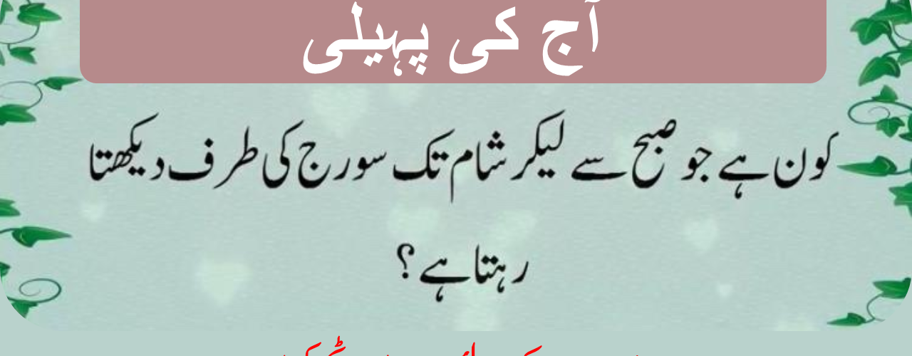 mind riddles in urdu