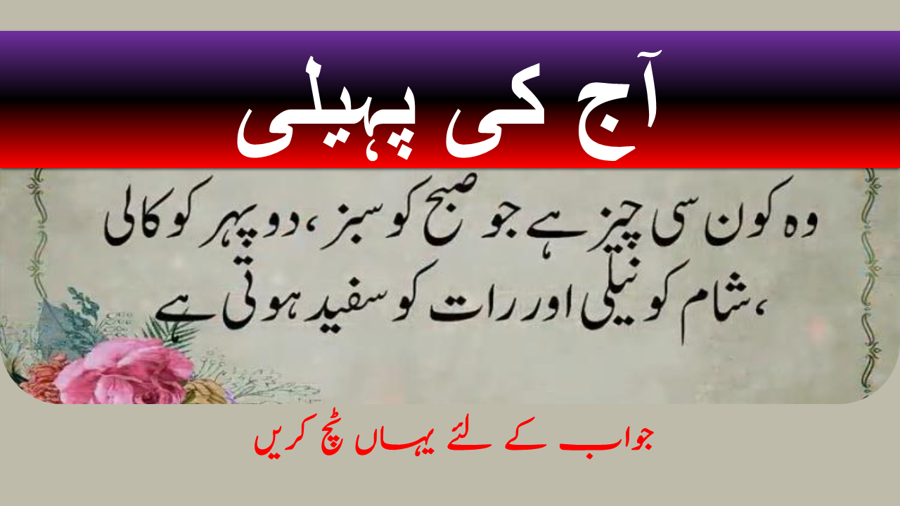 easy paheliyan in urdu with answer
