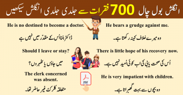 700 daily use english sentences with urdu translation pdf download