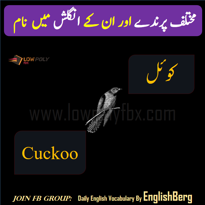 Different Birds and their names in English and Urdu LowpolyFbx