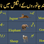 Names of Animals in urdu and English with pictures