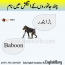 Names of Animals in urdu and English with pictures - Welcome To LowPoly Fbx