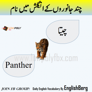 Names of Animals in urdu and English with pictures - Welcome To LowPoly Fbx