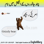 Names of Animals in urdu and English with pictures - Welcome To LowPoly Fbx