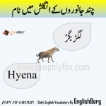 Names of Animals in urdu and English with pictures - Welcome To LowPoly Fbx