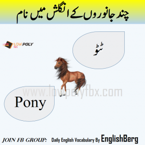 Names of Animals in urdu and English with pictures - Welcome To LowPoly Fbx