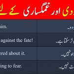 Urdu and English Pdf Sentences for expressing Sympathy and sorrow