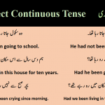 simple past perfect continuous sentences pdf lesson