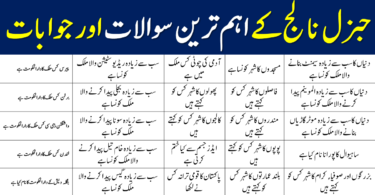 General knowledge quiz with answers Quiz in urdu