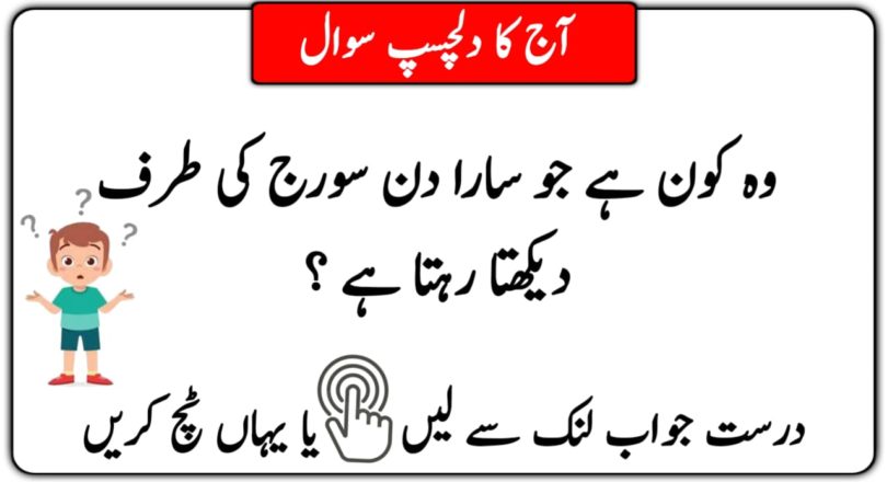 Riddles In Urdu With Answers | Paheliyan in urdu with answer 2022