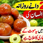 Amazing Benefits, Uses and Herbal Remedies of Amla